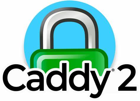 caddy 代理 minio静态页面的一些问题